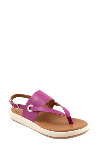 Softwalk ® Joliet Slingback Sandal In Magenta