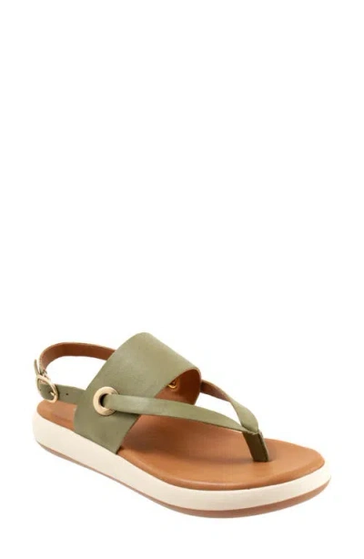Softwalk ® Joliet Slingback Sandal In Olive