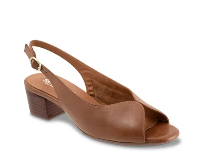 Softwalk Lakewood Sandal In Brown