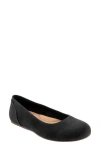 Softwalk Sydney Ballet Flat In Black