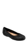 Softwalk ® Sydney Flat In Black Suede