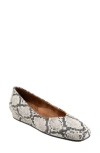 Softwalk ® Vellore Flat In Grey