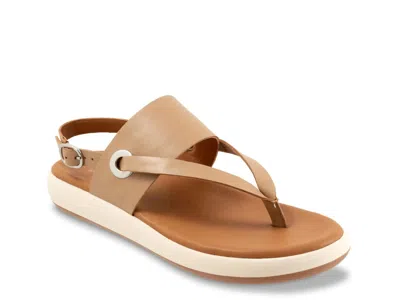 Softwalk Wide Width Joliet Sandal In Brown