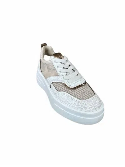 Softwaves Women's Bibi Sneaker In Niocciola/coco In White