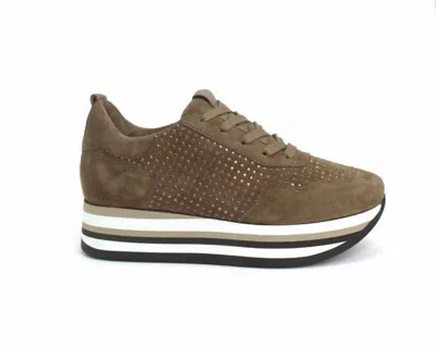 Softwaves Women's Cassia Bling Tie Platform Sneaker In Acero/bronze In Multi