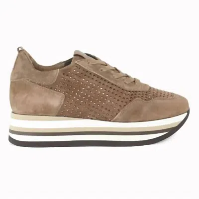 Softwaves Women's Cassia Sneaker In Acero/bronze In Brown