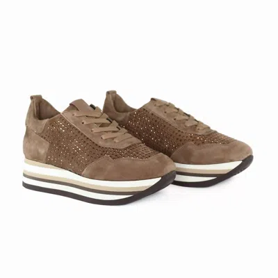 Softwaves Women's Cassia Sneaker In Acero/bronze In Multi