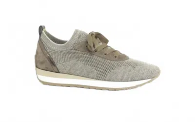 Softwaves Women's Dale Shoe In Sahara In Brown