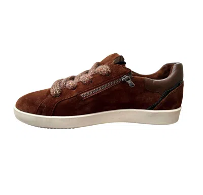 Softwaves Women's Ilda Sneaker In Choco In Multi