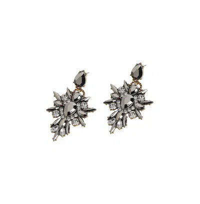 Sohi Crystal Drop Earrings In Silver