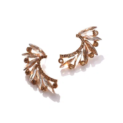 Sohi Women Brown Drop Earrings