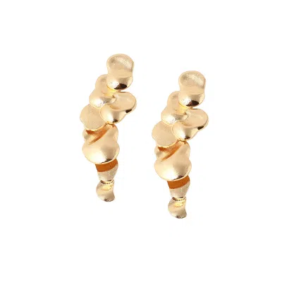 Sohi Women Golden Drop Earrings