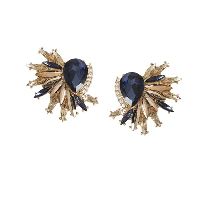 Sohi Women's Sapphire Blue Crystal Stud Earrings