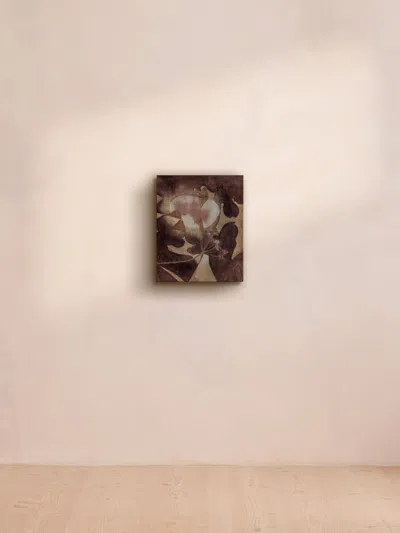 Soho Home 'natureconnection 02' By Susanna Klein In Multi