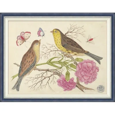 Soicher Marin 18th Century Floral Bouquets With Birds I - Single Picture Frame Painting In Multi