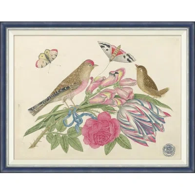 Soicher Marin 18th Century Floral Bouquets With Birds Ii - Single Picture Frame Painting In Multi