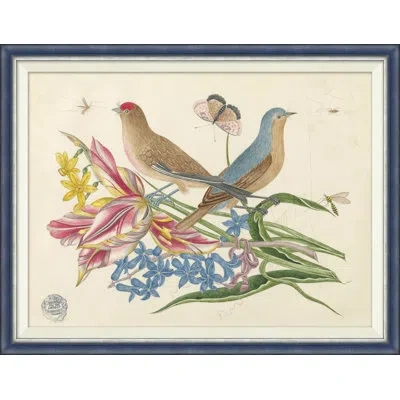 Soicher Marin 18th Century Floral Bouquets With Birds Iii - Single Picture Frame Painting In Blue;green;beige