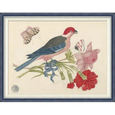 Soicher Marin 18th Century Floral Bouquets With Birds Ix - Single Picture Frame Painting In Multi