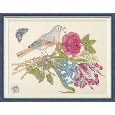 Soicher Marin 18th Century Floral Bouquets With Birds V - Single Picture Frame Painting In Multi