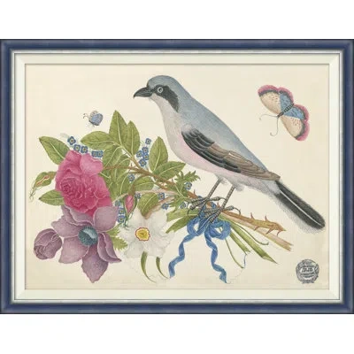 Soicher Marin 18th Century Floral Bouquets With Birds Viii - Single Picture Frame Painting In Blue;green;beige