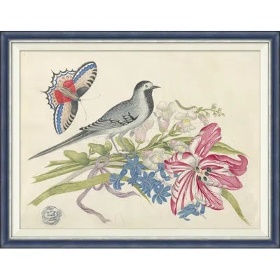 Soicher Marin 18th Century Floral Bouquets With Birds Xi - Single Picture Frame Painting In Multi