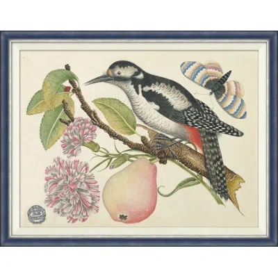 Soicher Marin 18th Century Floral Bouquets With Birds Xii - Single Picture Frame Painting In Multi