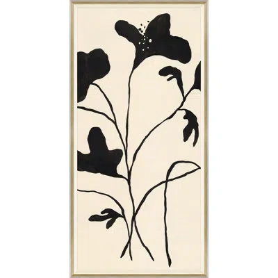 Soicher Marin 'abundance Ii' By Susan Hable - Picture Frame Painting On Paper In Black