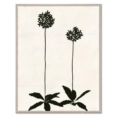 Soicher Marin Allium (var. 2) By Susan Hable - Single Picture Frame Print On Paper In Clear