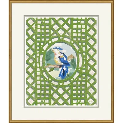 Soicher Marin Aviary By Dana Gibson - Picture Frame Painting On Paper In Green