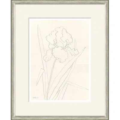 Soicher Marin Bearded Iris By Susan Hable - Picture Frame Painting In White