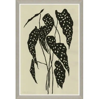 Soicher Marin 'begonia' By Susan Hable - Picture Frame Painting On Paper In Black;beige