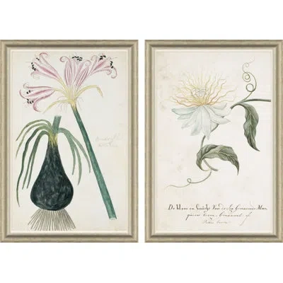 Soicher Marin Belladonna Lily & Flower On A Passion Tree By Paul Cezanne - Picture Frame Painting On Paper In Neutral