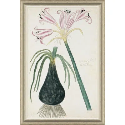 Soicher Marin Belladonna Lily By Paul Cezanne - Picture Frame Painting On Paper In Multi