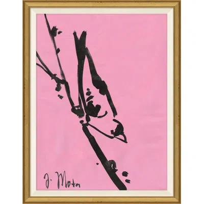 Soicher Marin Bird Series Xiii By Joseph Mota - Picture Frame Painting In Black;pink