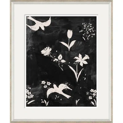 Soicher Marin Black Fleur D'oiseaux By Paule Marrot - Single Picture Frame Print