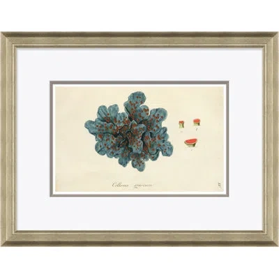 Soicher Marin Blue Coral By Paul Cezanne - Picture Frame Graphic Art On Paper In Brown