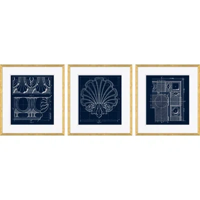 Soicher Marin Blue Figure 7, Blue Shell Study & Blue Rcp By David Phoenix - Picture Frame Drawing Print On Paper In Multi