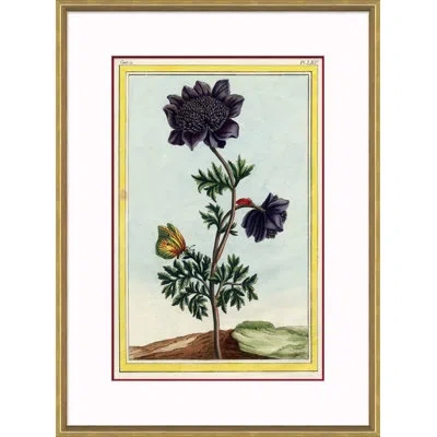 Soicher Marin 'botanical' - Picture Frame Painting Print On Paper In Blue;black;green