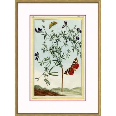 Soicher Marin Botanical - Picture Frame Painting Print On Paper In Blue;brown;green