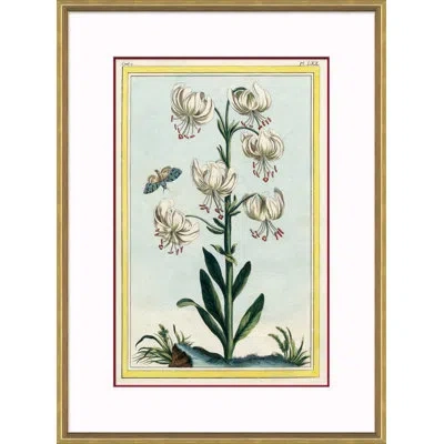 Soicher Marin 'botanical' - Picture Frame Painting Print On Paper In Blue;white;green
