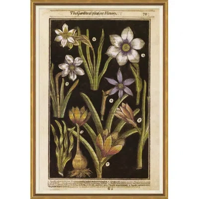 Soicher Marin 'botanicals' Picture Frame Painting Print In Brown;green;purple