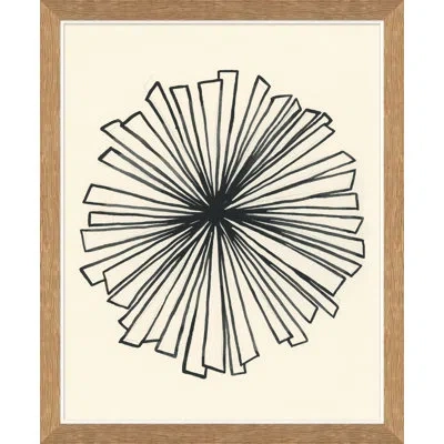 Soicher Marin 'burst' By Susan Hable - Picture Frame Drawing Print On Paper In Black;beige