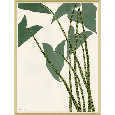 Soicher Marin Caladium' By Susan Hable - Picture Frame Graphic Art On Paper In Green;cream