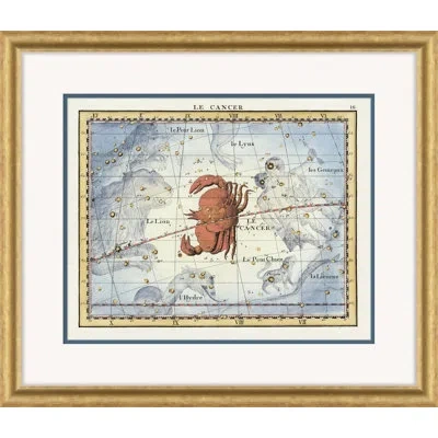Soicher Marin Cancer By David Phoenix - Picture Frame Graphic Art On Paper In Blue;brown;gold