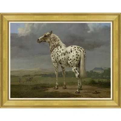 Soicher Marin Champion Horse Ii - Picture Frame Painting Print On Paper In Green;gray
