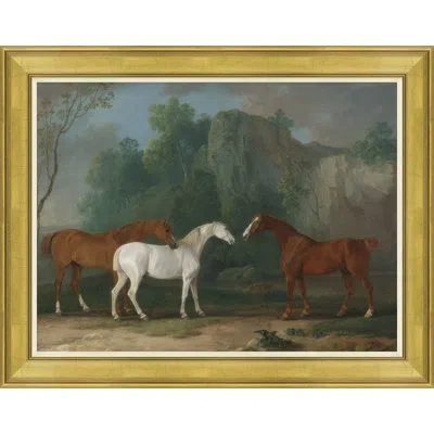 Soicher Marin Champion Horse Iii - Picture Frame Painting Print On Paper In Brown;green