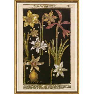 Soicher Marin 'clam Diggers' - Picture Frame Painting On Paper In Black;green;yellow;pink