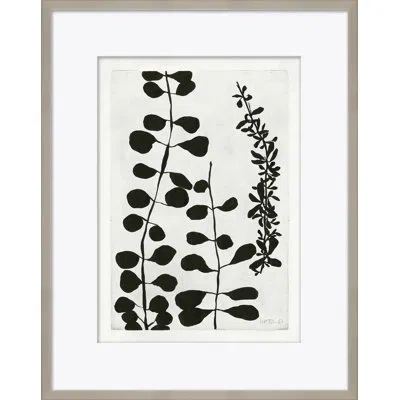 Soicher Marin 'clover' By Susan Hable - Picture Frame Painting On Paper In Black;white