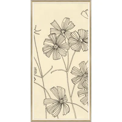 Soicher Marin 'cosmos Ii' By Susan Hable - Picture Frame Drawing Print On Paper In Neutral