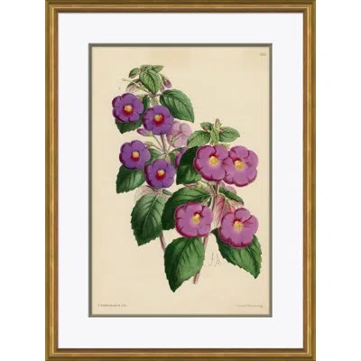 Soicher Marin Curtis's Botanicals - Picture Frame Painting On Paper In Green;pink